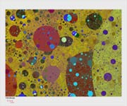 Molecular Pizza