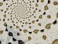 'untitled 6/12/07'
